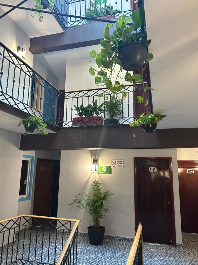Hotel Jar8 Bule ボカ・デル・リオ エクステリア 写真